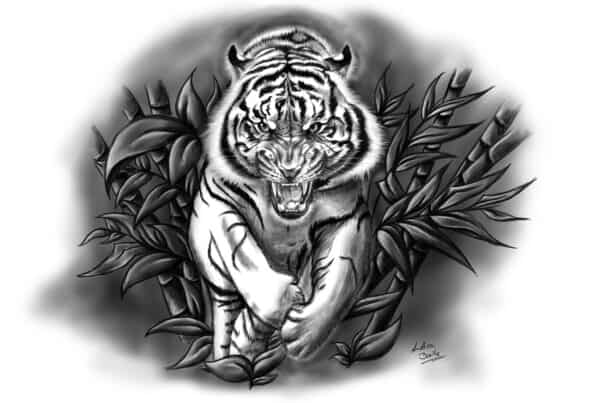 Illustration und Tattoo Fauchender Tiger, suche illustrator, Buchillustrator gesucht