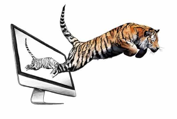 Tiger Illustration, Digital Painting