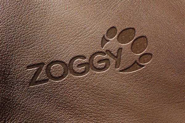 Zoggy Logo Design Leder