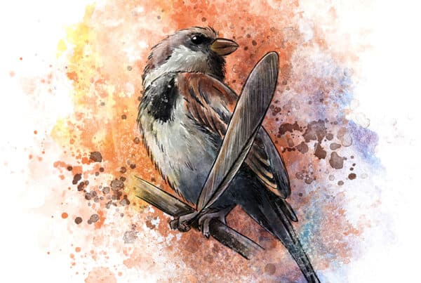 Sparrow, children's book illustrator wanted, children's book illustrated, children's book created, children's book illustrator Andrea Baitz, book illustrator wanted, book illustrator, children's book illustration, book illustration, looking for children's book illustrator, looking for illustrator