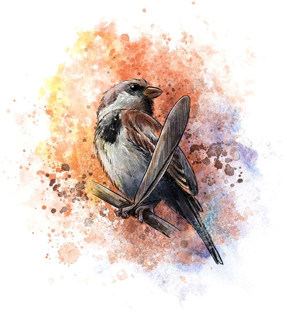 Sparrow, children's book illustrator wanted, children's book illustrated, children's book created, children's book illustrator Andrea Baitz, book illustrator wanted, book illustrator, children's book illustration, book illustration, looking for children's book illustrator, looking for illustrator